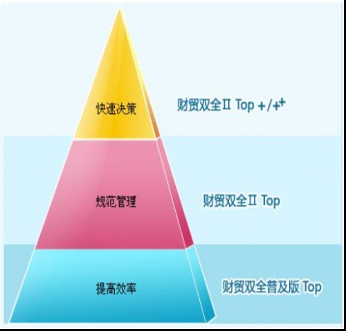 毕节财务软件告诉你公司前期无收入怎么做账?